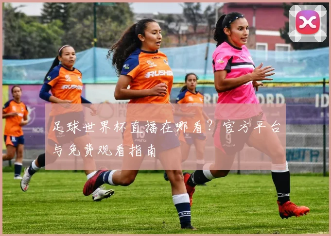 足球世界杯直播在哪看？官方平台与免费观看指南