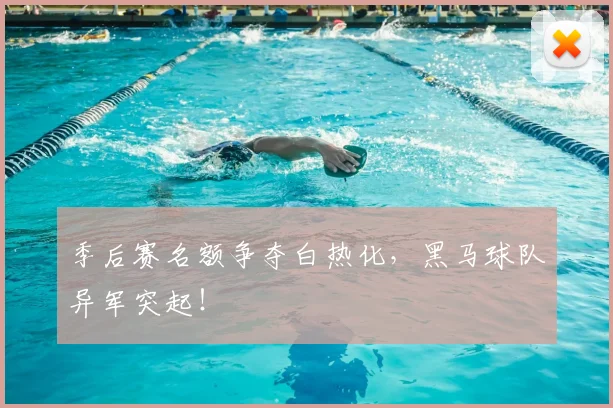 季后赛名额争夺白热化，黑马球队异军突起！