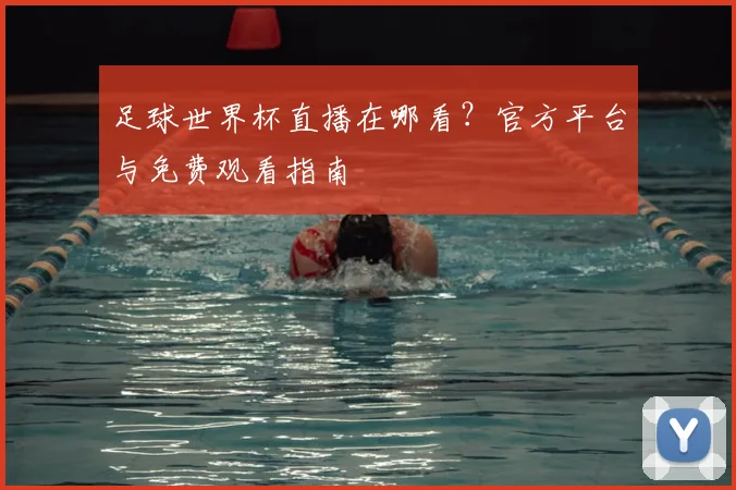 足球世界杯直播在哪看?官方平台与免费观看指南