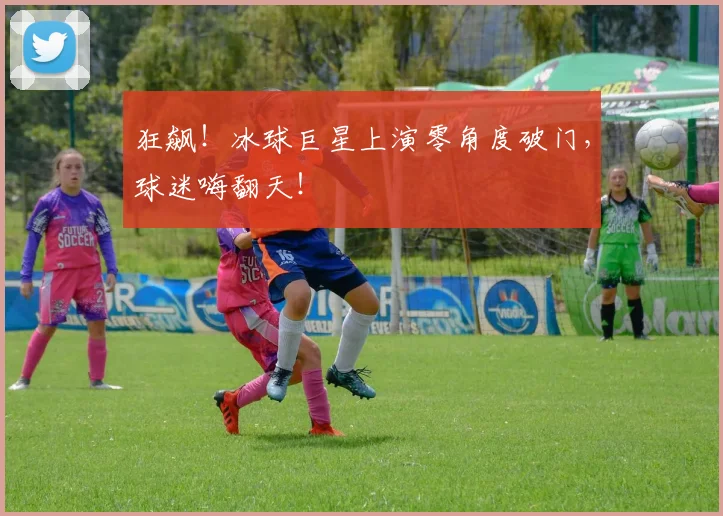 狂飙！冰球巨星上演零角度破门，球迷嗨翻天！
